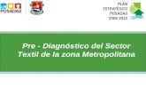 Pre - Diagnóstico del Sector Textil de la zona Metropolitana.