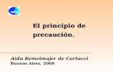 El principio de precaución. Aída Kemelmajer de Carlucci Buenos Aires, 2008.