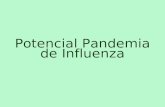 Potencial Pandemia de Influenza. Reportes de epidemias desde 1510 Influenza española A(H1N1) 21 millones de defunciones Adultos jóvenes. Influenza de.