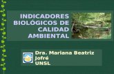 INDICADORES BIOLÓGICOS DE CALIDAD AMBIENTAL Dra. Mariana Beatriz Jofré UNSL.