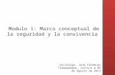Modulo 1: Marco conceptual de la seguridad y la convivencia Socióloga: Jane Cárdenas Tlaquepaque, Jalisco a 01 de Agosto de 2013.