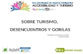 Foro Accesibilidad y Turismo de Andalucía Lab. Manuel Calvillo: sobre Turismo, Desencuentros y Gorilas