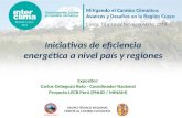 GRUPO TÉCNICO REGIONAL FRENTE AL CAMBIO CLIMÁTICO Iniciativas de eficiencia energética a nivel país y regiones Expositor: Carlos Orbegozo Reto - Coordinador.