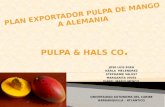 Plan exportador de pulpa de mango a alemania
