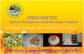 ONGD AGETEC Agencia Tecnológica de Desarrollo Integral Productivo CULTIVO DEL AGUAYMANTO EN LA COSTA LIBERTEÑA.