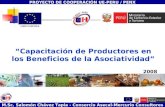 Capacitación de Productores en los Beneficios de la Asociatividad Salomón Chávez Tapia - Consorcio Asecal-Mercurio Consultores Capacitación de Productores.