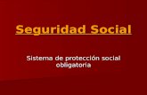 Tema 8.  seguridad social