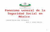 Panorama gral de la seguridad social en mexico