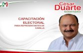 Capacitacion electoral 2010_vestatal