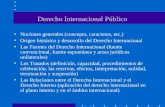Derecho Internacional  Público - Nociones generales.