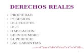 DERECHO REALES