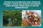 ESTUDIO DE FACTIBILIDAD PARA PRODUCIR JARABES A PARTIR DEL BANANO RECHAZADO COMO MATERIA PRIMA PARA EL SECTOR FARMACÉUTICO.
