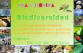 Amenazas a la Biodiversidad