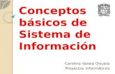 Conceptos básicos de sistema de información