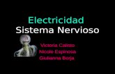Electricidad Sistema Nervioso Victoria Calisto Nicole Espinosa Giulianna Borja.