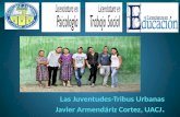 Las juventudes tribus urbanas de mexico, Javier Armendariz Cortez