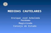 MEDIDAS CAUTELARES Enrique José Arboleda Perdomo Magistrado Consejo de Estado.
