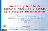 Comercio y huella de carbono: Vínculos y estado de situación internacional Sebastián Herreros División de Comercio Internacional e Integración CEPAL Seminario.