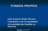 Fondos Propios en el Borrador del Nuevo PGC 1 FONDOS PROPIOS José Antonio Rojas Tercero Catedrático de Contabilidad Universidad de Castilla-La Mancha.