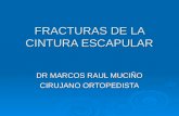 FRACTURAS DE LA CINTURA ESCAPULAR DR MARCOS RAUL MUCIÑO CIRUJANO ORTOPEDISTA.