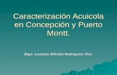 Caracterización Acuicola en Concepción y Puerto Montt. Blgo. Luciano Alfredo Rodríguez Chú.