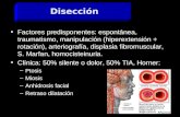 Factores predisponentes: espontánea, traumatismo, manipulación (hiperextensión + rotación), arteriografía, displasia fibromuscular, S. Marfan, homocisteinuria.
