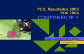 POG, Resultados 2003 POA 2004 COMPONENTE 1 Blgo. Luis Campos Baca Coordinador.