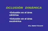 OCLUSIÓN DINÁMICA Oclusión en el área céntrica Oclusión en el área excéntrica Dra. Mabel Visconti.