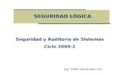 SEGURIDAD LÓGICA Ing. Yolfer Hernández, CIA Seguridad y Auditoria de Sistemas Ciclo 2009-2.