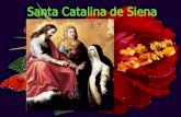 Santa Catalina de Siena de gran atractivo externo y de una gran fuerza de voluntad. En sólo 33 años vivió, sufrió y murió por el Cuerpo Místico de su.