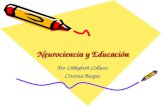 Neurociencia y Educación Por Libbybeth Collazo Cristina Burgos.