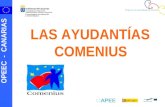 OPEEC - CANARIAS LAS AYUDANTÍAS COMENIUS. OPEEC - CANARIAS PROGRAMA DE APRENDIZAJE PERMANENTE (PAP / LLP) - Proyecto común de la U.E. para que, mediante.