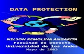 DATA PROTECTION NELSON REMOLINA ANGARITA Facultad de Derecho Universidad de los Andes Mayo de 2003.
