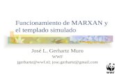 Funcionamiento de MARXAN y el templado simulado José L. Gerhartz Muro WWF jgerhartz@wwf.nl; jose.gerhartz@gmail.com.