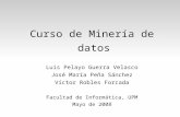 Curso de Minería de datos Luis Pelayo Guerra Velasco José María Peña Sánchez Víctor Robles Forcada Facultad de Informática, UPM Mayo de 2008.