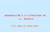 INTRODUCCIÓN A LA ESTRUCTURA DE LA MATERIA Prof. MARIA FE LAGUNA HERAS.