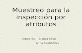 Muestreo para la inspección por atributos Nombres: Blanca Salas Alma Santibáñez.
