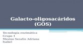 Galacto-oligosacáridos (GOS) Tecnología enzimática Grupo 1 Mesino Serafín Adriana Isabel.