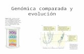 Genómica comparada y evolución. Un genoma en principio es una receta para construir un organismo...pero sabemos que es mucho mas que eso!!