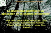 La diversidad genética y su aplicación en la captura de carbono Lilia del C. Mendizábal Hernández, Juan Alba Landa, Juan Márquez Ramírez, Elba O. Ramírez.