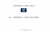 LE, EI, Profesor Ramón Castro Liceaga UNIVERSIDAD LATINA (UNILA) VI.- ARCHIVOS Y BASES DE DATOS.