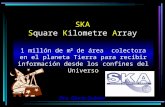 SKA Square Kilometre Array 1 millón de m 2 de área colectora en el planeta Tierra para recibir información desde los confines del Universo Dra. Gloria.