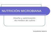 Diseño y optimización de medios de cultivo NUTRICIÓN MICROBIANA ALEJANDRA BOSCH.