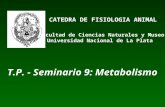 CATEDRA DE FISIOLOGIA ANIMAL Facultad de Ciencias Naturales y Museo Universidad Nacional de La Plata T.P. - Seminario 9: Metabolismo.