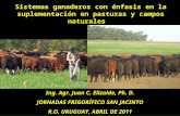 Sistemas ganaderos con énfasis en la suplementación en pasturas y campos naturales Ing. Agr. Juan C. Elizalde, Ph. D. JORNADAS FRIGORÍFICO SAN JACINTO.
