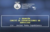 1 a REUNI Ó N COMIT É DE EXPORTACIONES DE SERVICIOS Lic. Javier Peña Capobianco.
