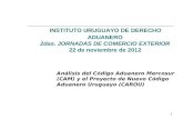 1 INSTITUTO URUGUAYO DE DERECHO ADUANERO 2das. JORNADAS DE COMERCIO EXTERIOR 22 de noviembre de 2012 Análisis del Código Aduanero Mercosur (CAM) y el Proyecto.