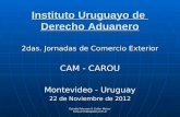 Estudio Petersen & Cotter Moine-  Instituto Uruguayo de Derecho Aduanero 2das. Jornadas de Comercio Exterior CAM - CAROU Montevideo.