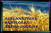 ALTERNATIVAS AGRICOLAS ZAFRA 2008-09. COSTOS 238 206 TRIGO: Costos / TON.