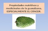 Propiedades nutritivas y medicinales de la guanábana, ESPECIALMENTE EL CÁNCER.